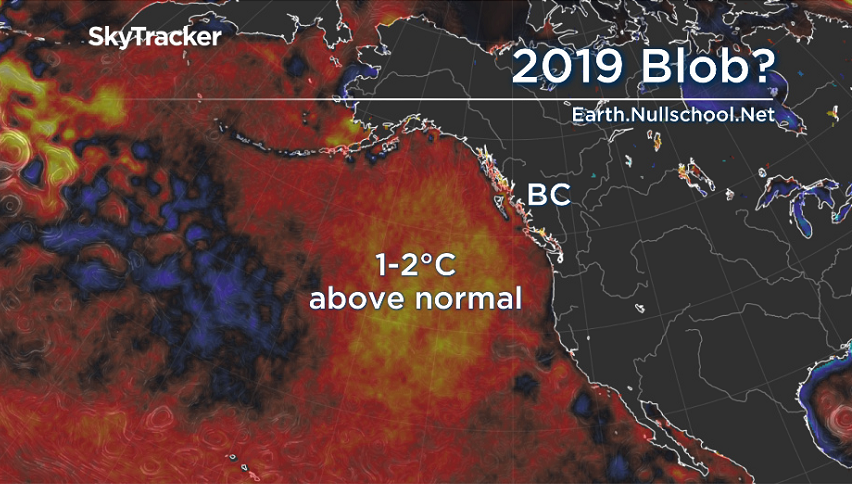 The 2019 ‘Blob’ developed in the summer but is now weakening.