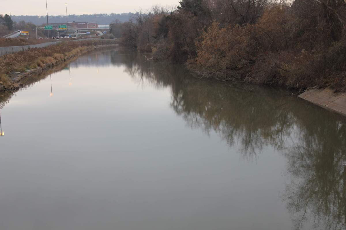 The edge of Chedoke Creek in Hamilton, Ont.
