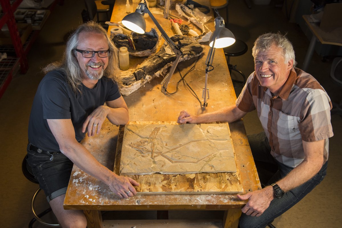 Michael Caldwell, University of Alberta professor in biological sciences and the department of earth and atmospheric sciences, and dinosaur paleontologist Phil Currie with the pterosaur specimen.