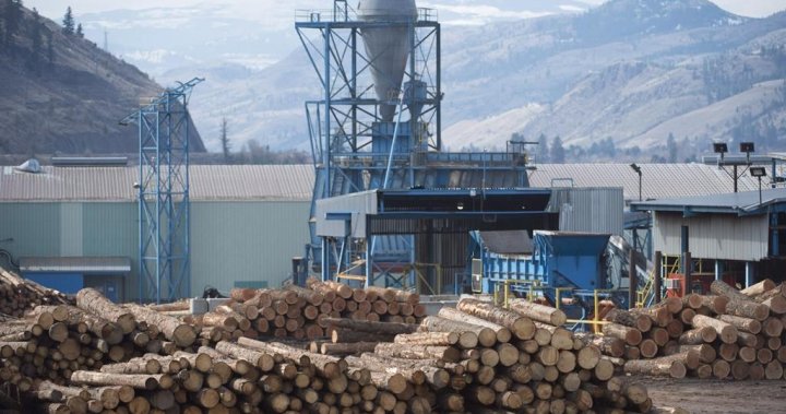 Kanada kecewa dengan tarif pajak kayu lunak akhir AS, kata menteri perdagangan