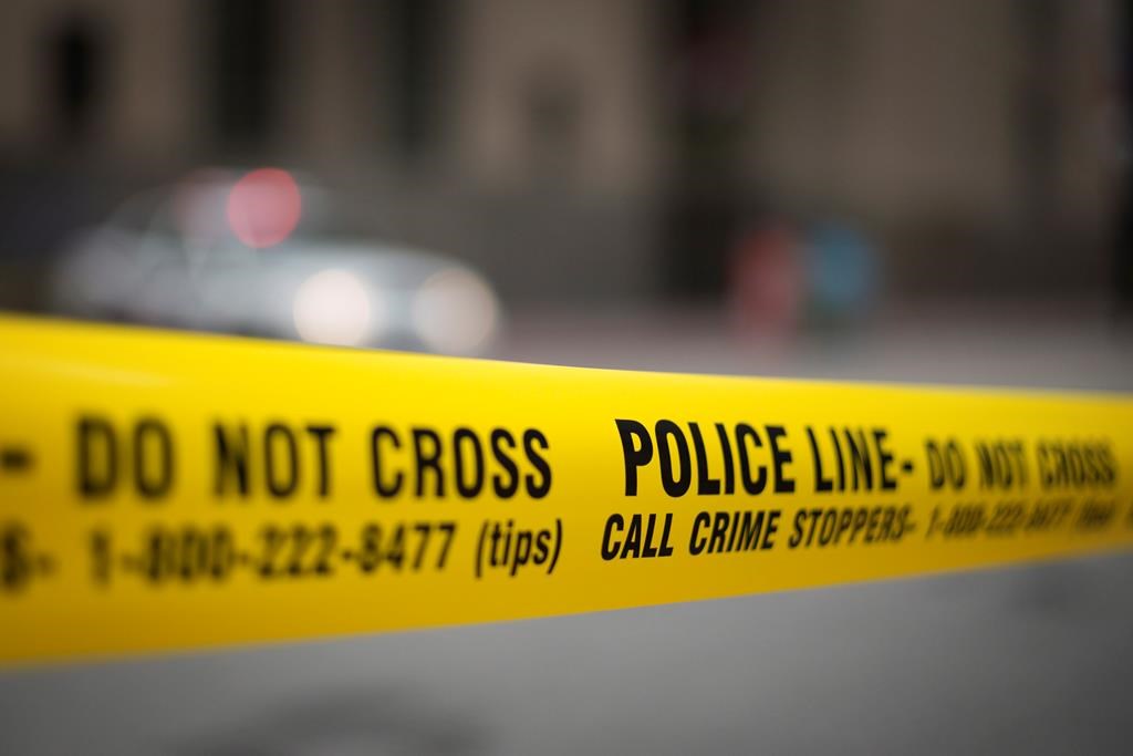 Guelph police say a cyclist was struck by a vehicle on Friday night.