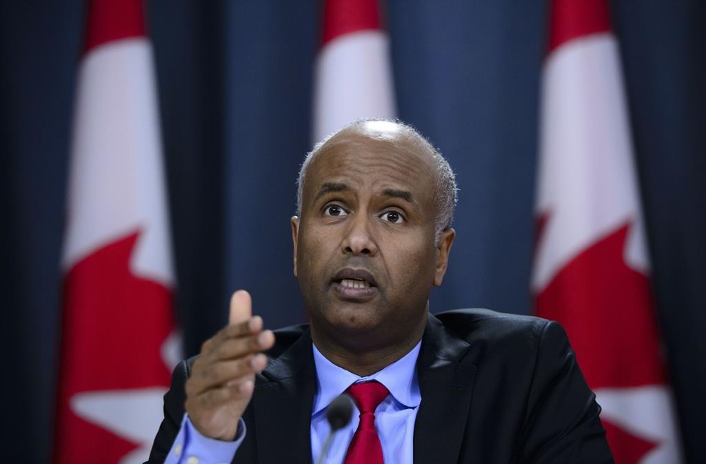 Minister of Immigration, Refugees and Citizenship Ahmed Hussen in responds to the 2019 Spring Reports of the Auditor General in Ottawa on Tuesday, May 7, 2019. Social Development Minister Ahmed Hussen is calling the death of Somali-Canadian human rights worker Almaas Elman devastating news for himself and others. Elman was reportedly shot dead in her car while en route to the airport in the Somali capital of Mogadishu. THE CANADIAN PRESS/Sean Kilpatrick.