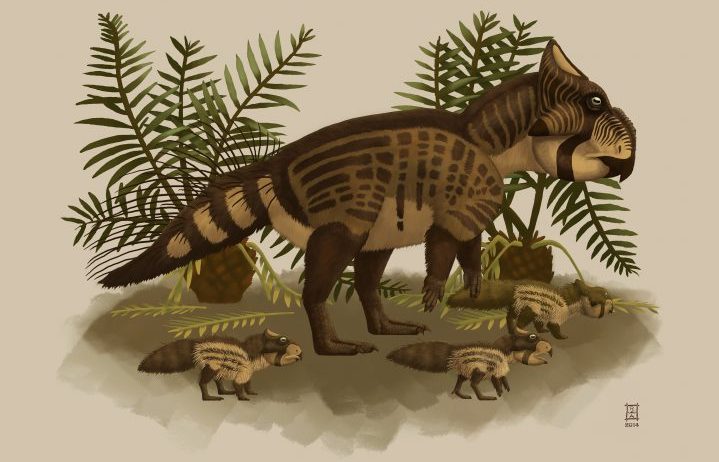 A Ferrisaurus is seen in this undated illustration. A geologist's discovery of a mysterious claw in rocks along a rail line in British Columbia's northern wilderness almost 50 years ago has led to the recognition of the first dinosaur species unique to the province. 