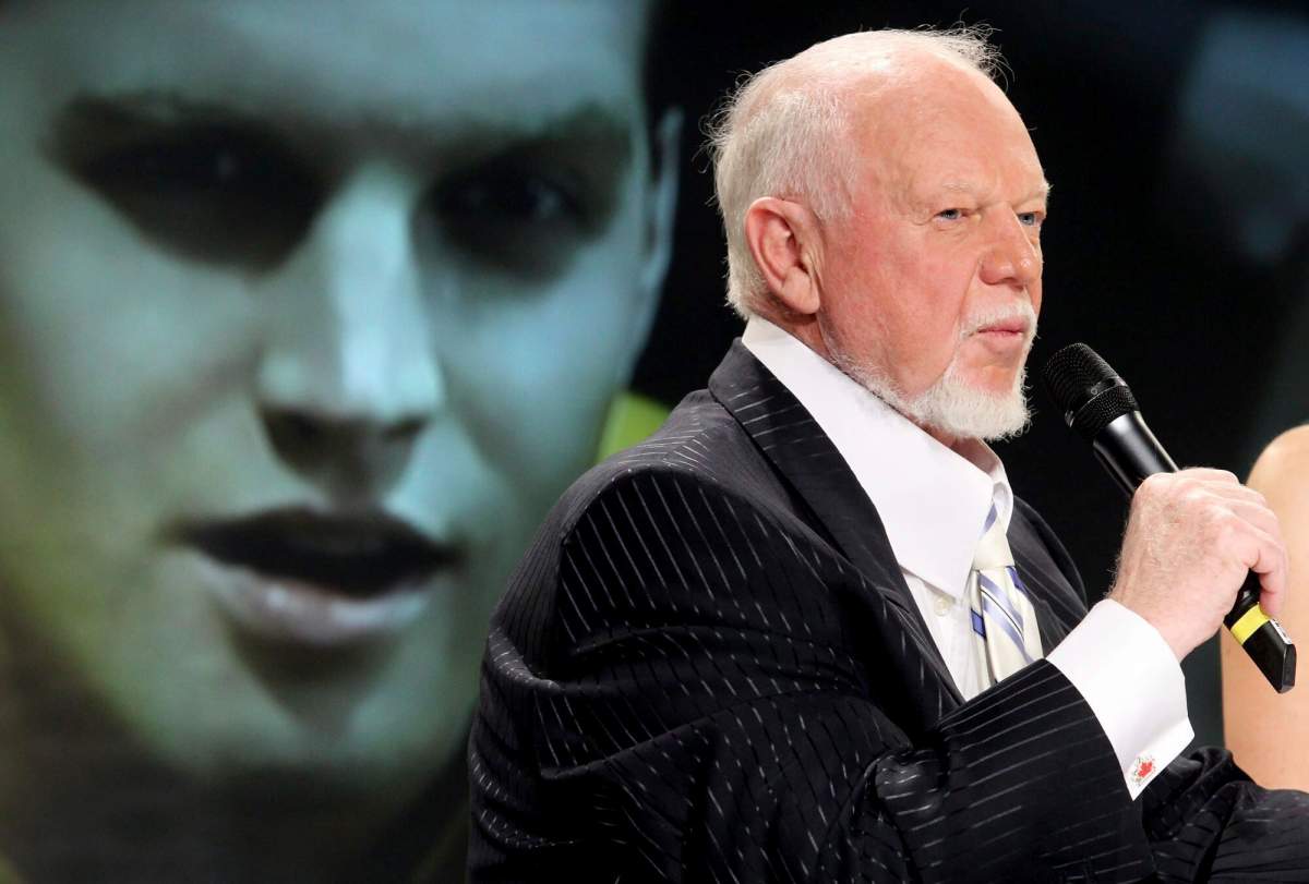 Sportsnet fired Don Cherry after the veteran hockey commentator called new immigrants "you people" on his "Coach's Corner" segment while claiming they do not wear poppies to honour Canadian veterans.