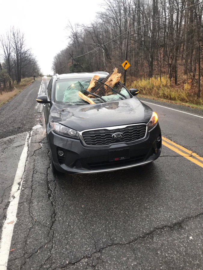 A car sits on Old Montreal Road after a branch crashed through its windshield due to high winds on Friday. Paramedics say the driver suffered only minor injuries.