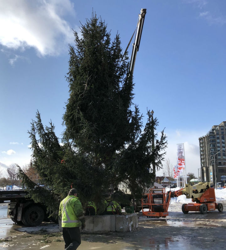 A Christmas tree lighting and Santa Claus parade will take place in Barrie on Saturday afternoon.