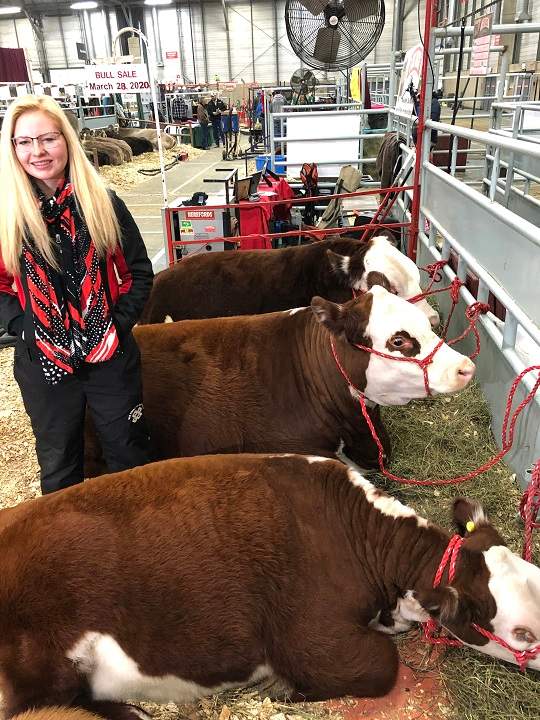 Kailey Wirsta stands by her cattle at Farmfair International in November, 2019