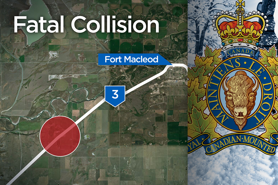 A man died after his car collided with a cattle liner in southern Alberta on Tuesday.