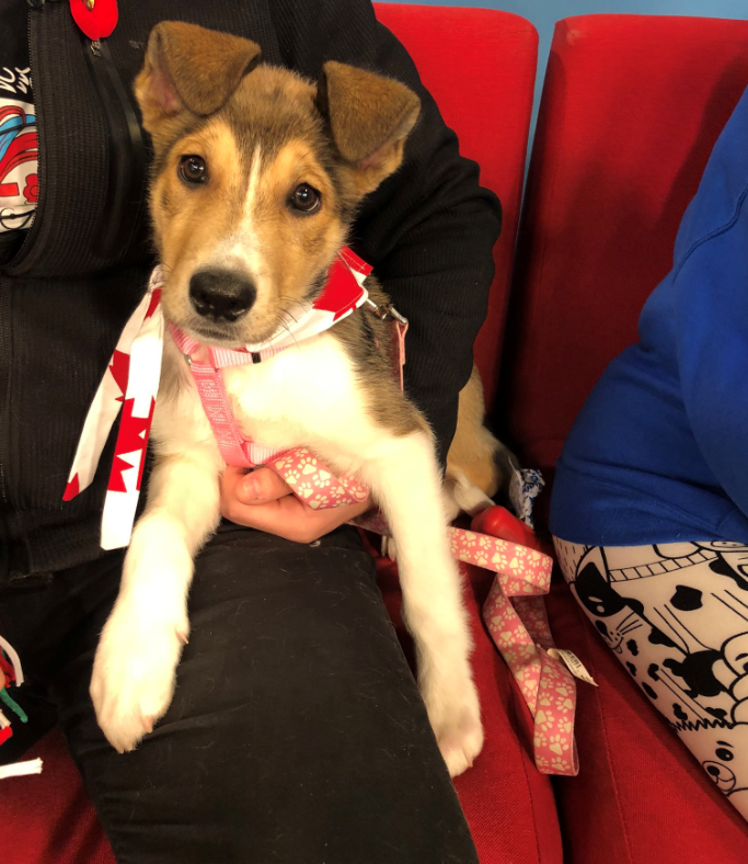 Frankie is looking for her new home.