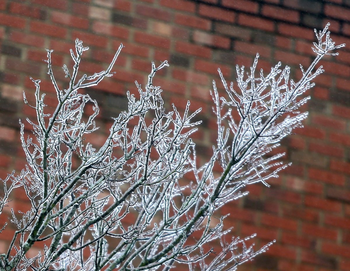 Environment Canada is advising motorists and pedestrians in southern Quebec to be careful as freezing rain has created poor conditions in the region.