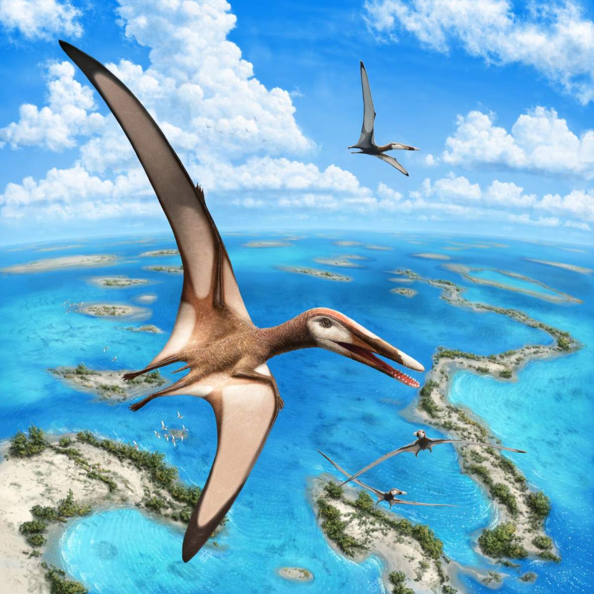 Illustration of the pterodactyl fossil specimen found in Lebanon and researched at the University of Alberta.