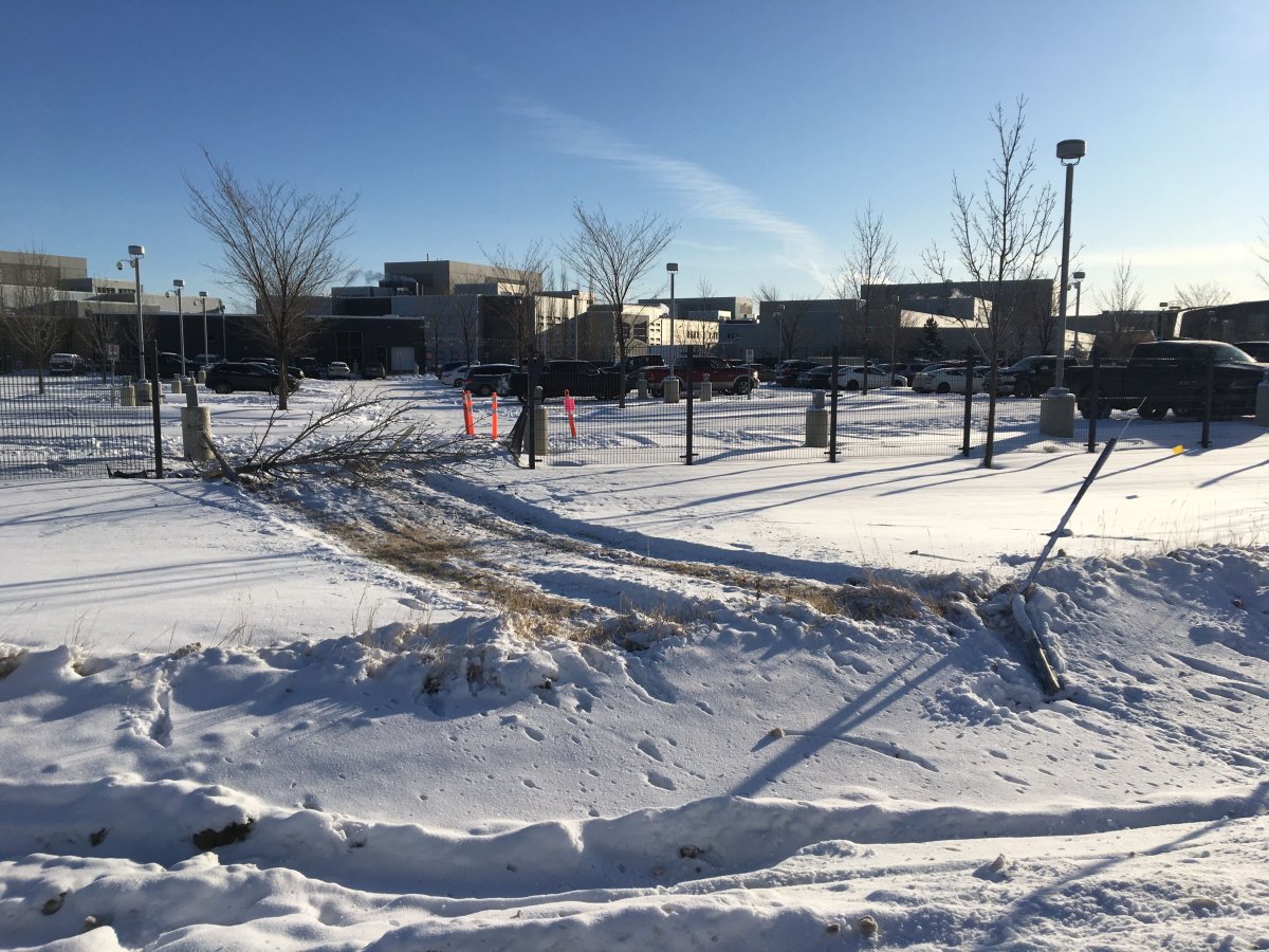 Car tracks are visible at the Edmonton Remand Centre on Monday, Nov. 11, after a vehicle drove through the fence following a carjacking incident. 
