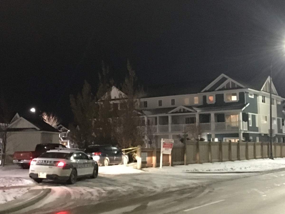Winnipeg police at the scene of a townhouse complex on Tim Sale Drive on Nov. 5, 2019.