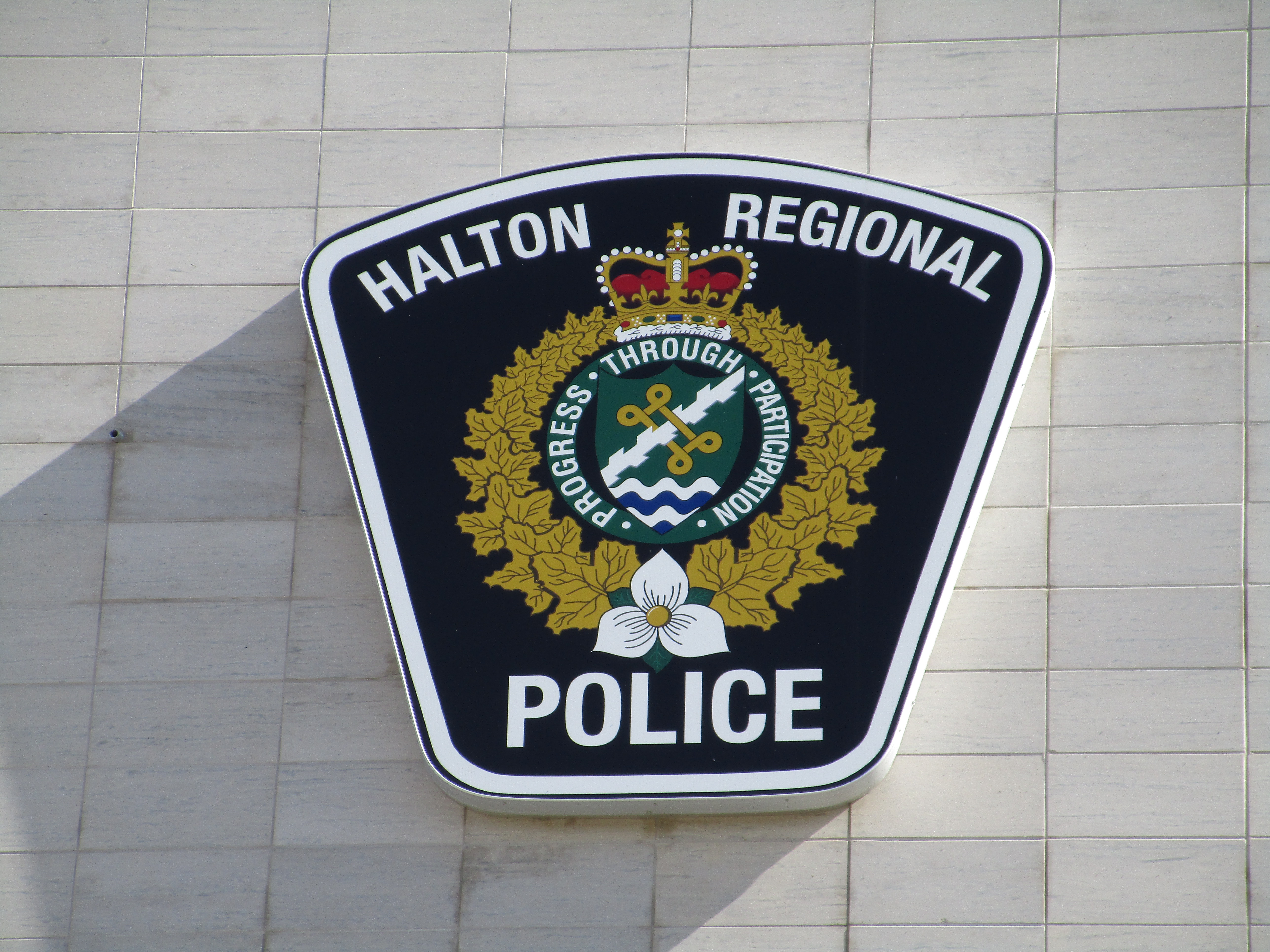 Vaughan man facing charges in ongoing human trafficking investigation in Halton Region Globalnews.ca