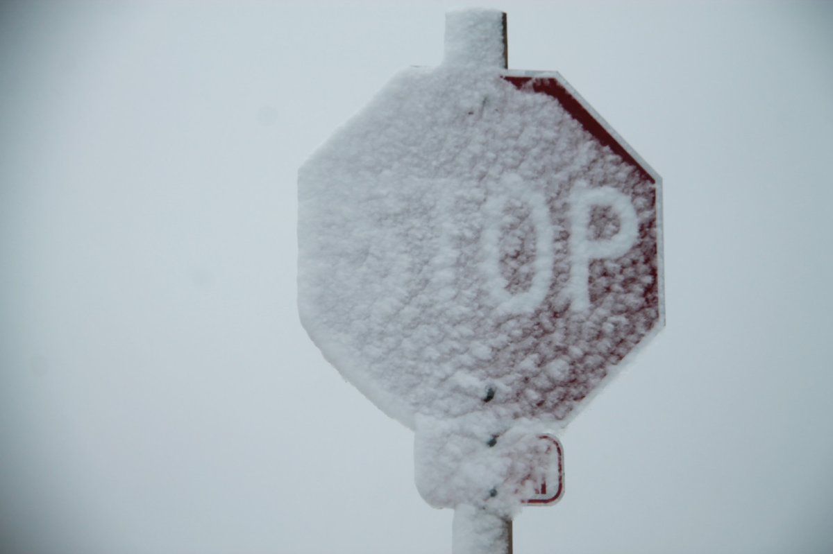 File photo of a snow covered stop sign.