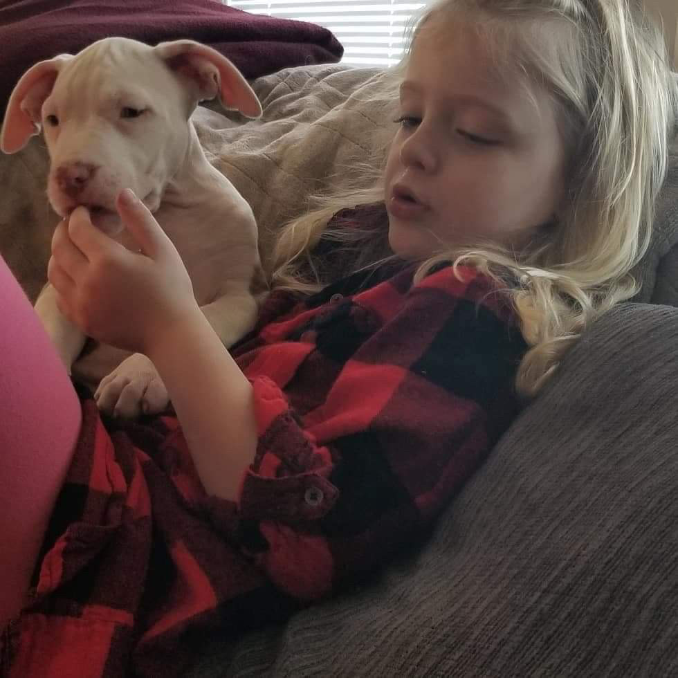 Dan and Kim’s daughter plays with Frankie as a puppy.