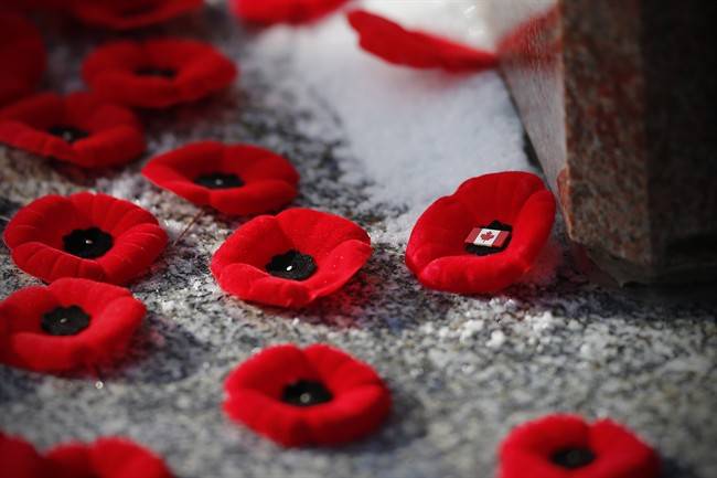  Poppies are placed on a cenotaph during a Remembrance Day service. 