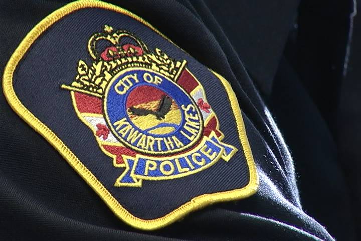 Police in Lindsay arrested a man for allegedly discharging a pellet gun at a vehicle.