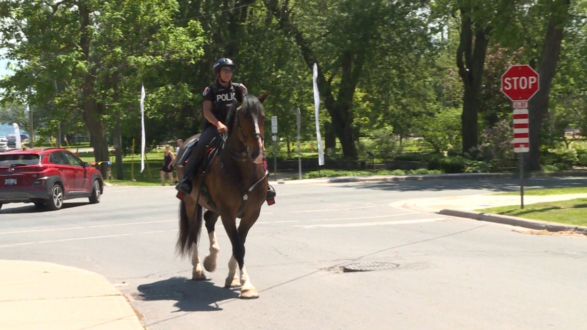 The services of Murney from the Kingston police mounted unit have been cut as a cost-saving measure in order to hire 10 new officers in 2020.