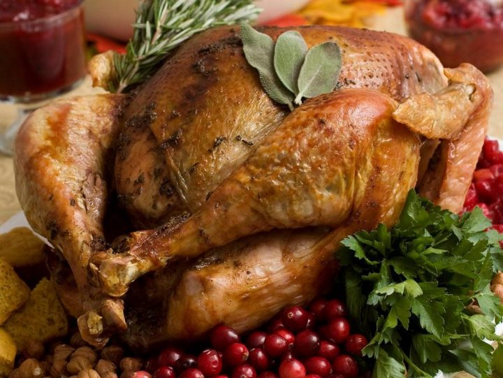Saskatchewan turkey production steady heading into holiday months - image