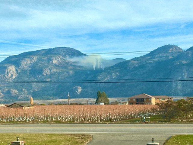 Plumes of smoke rising from a hillside northeast of Osoyoos around 9 a.m. Sunday morning. 