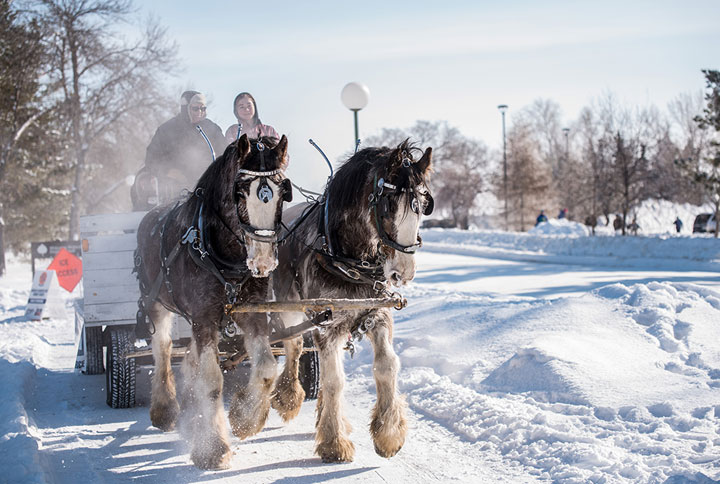 Photographer Indrasish Banerjee took this image in Regina.