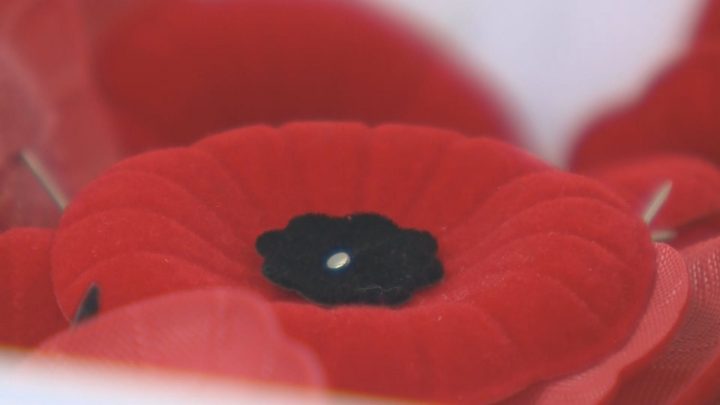 On Saturday afternoon, police say they were notified that a Royal Canadian Legion poppy cash donation box was stolen from a retail outlet.