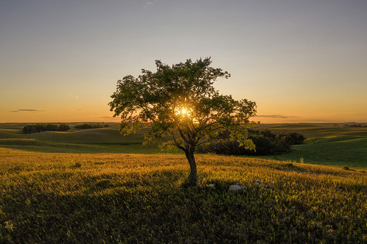 Photographer Jeff Wizniak took this image at Biggar.