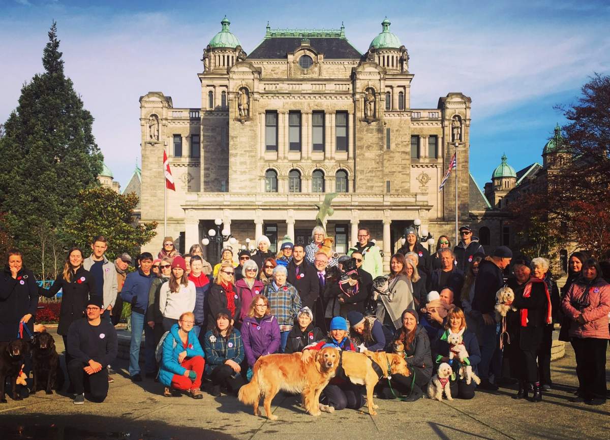 A group gathers to honour animals that died in war during Remembrance Day ceremonies in Victoria, B.C. on Nov. 11, 2019.
