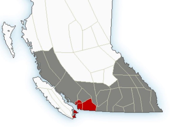 Environment Canada has issued special weather statements for wind and cold temperatures from many regions in southern B.C.