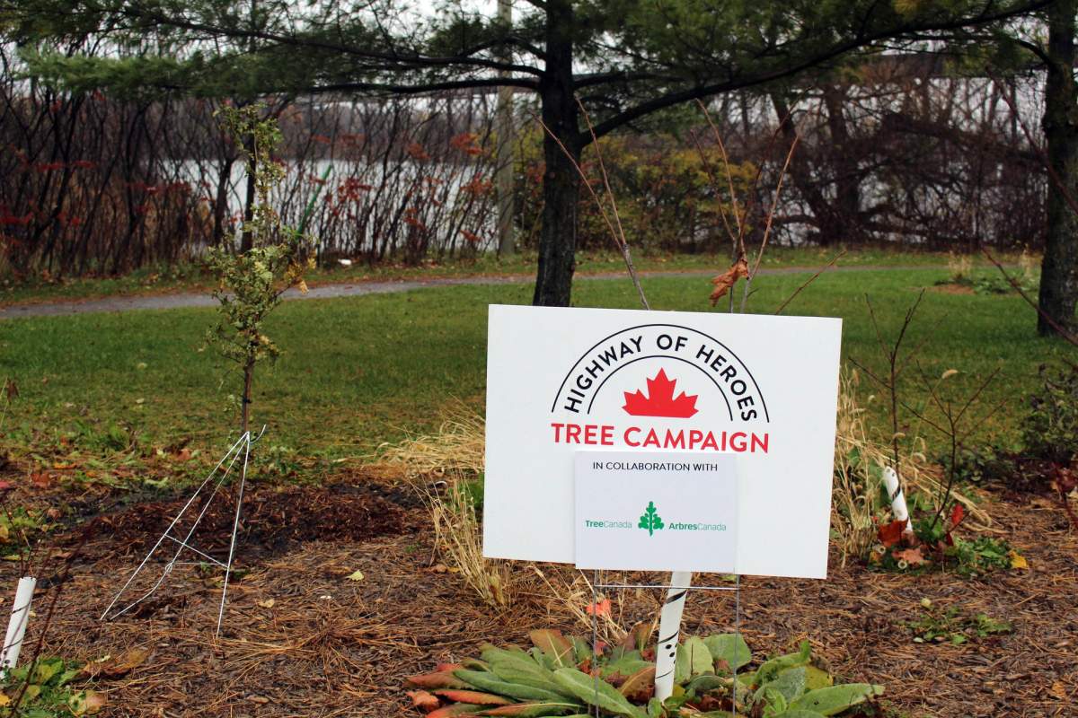The Highway of Heroes Tree Campaign is expanding to privately owned land.