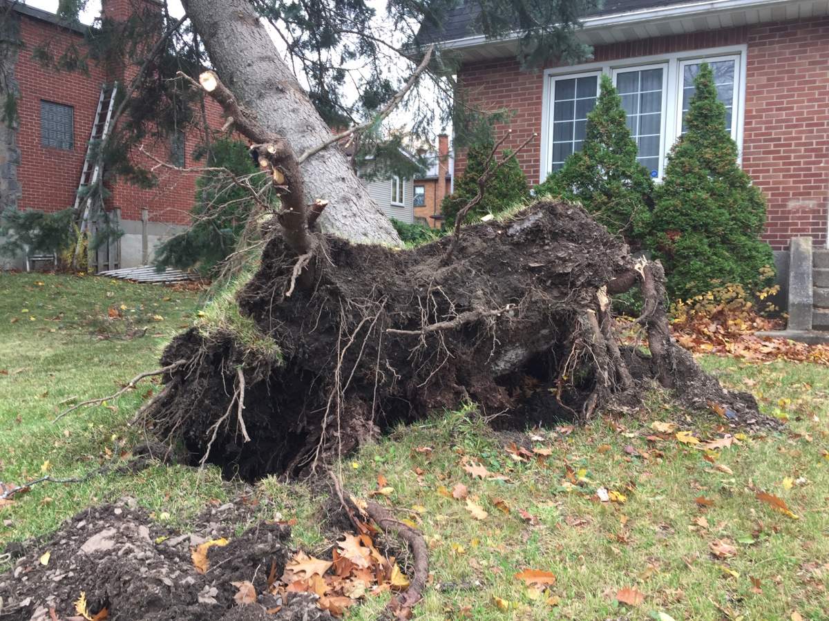 A photo of the damage caused by the storm in Quebec City.