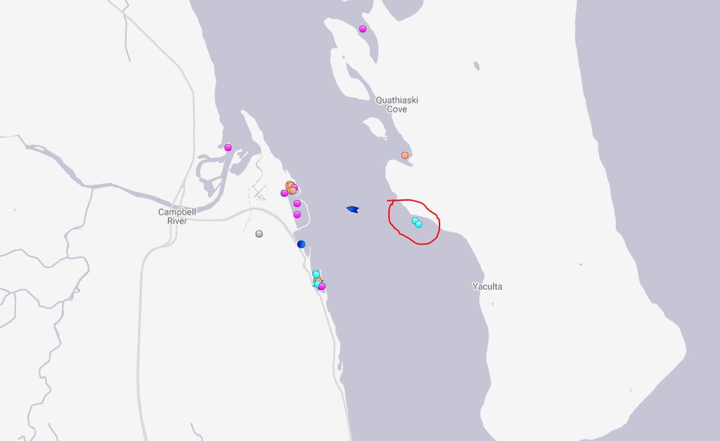The location of a tug and container barge that ran aground on the southeast tip of Quadra Island on Nov. 9, 2019.