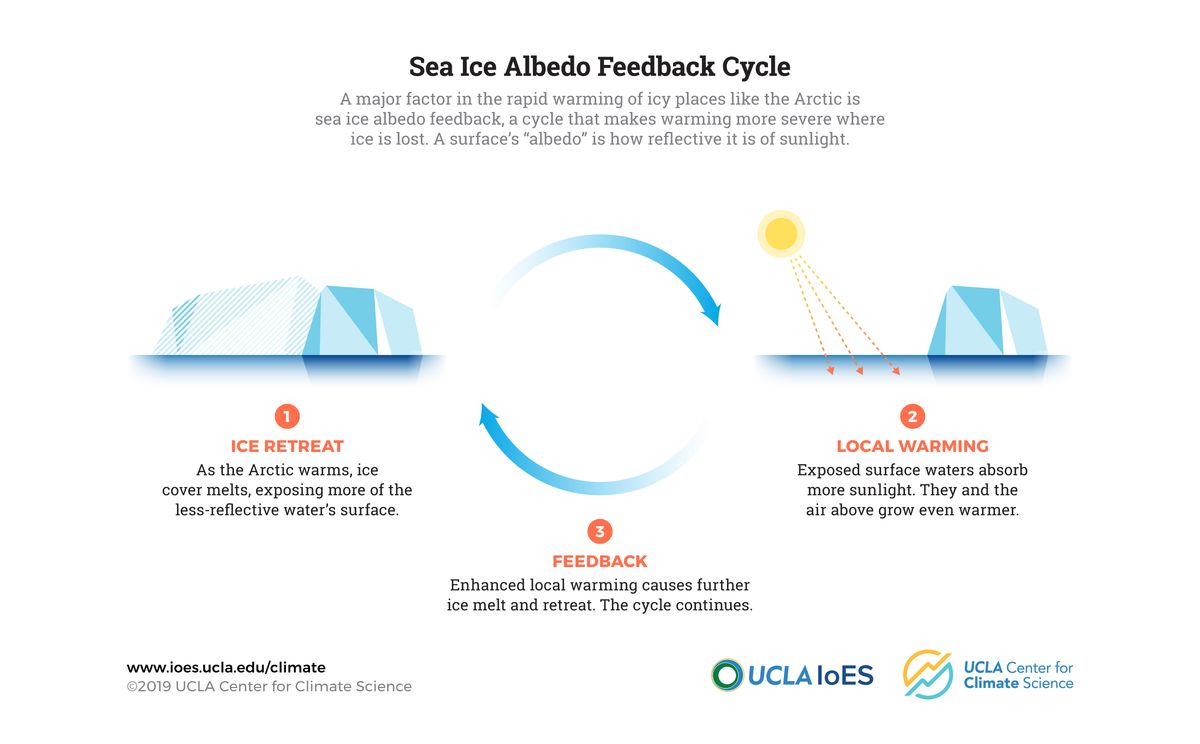 The sea ice Albedo effect feedback cycle.