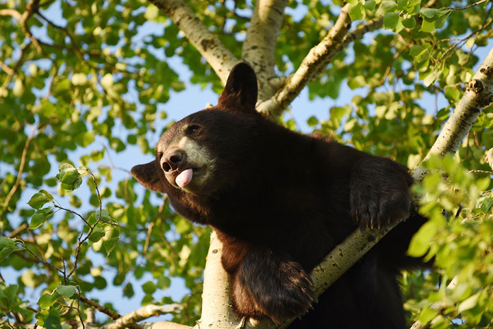 Photographer Jennifer Hanlin took this image at Whitewood.