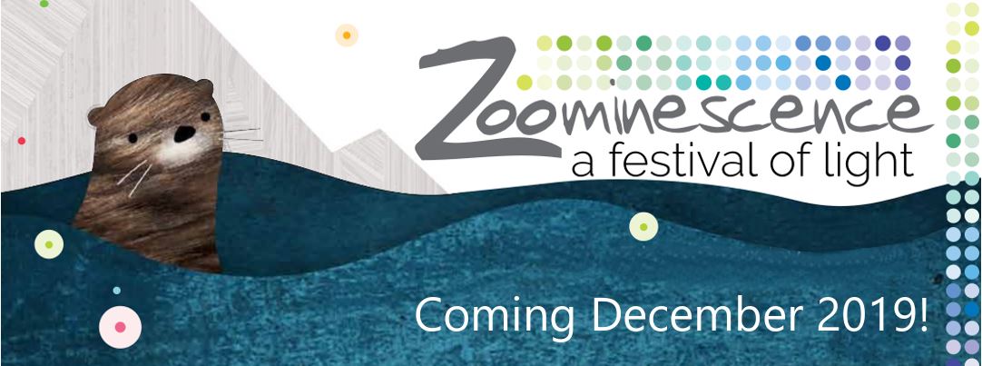 630 CHED – Zoominescence: A Festival of Light - image