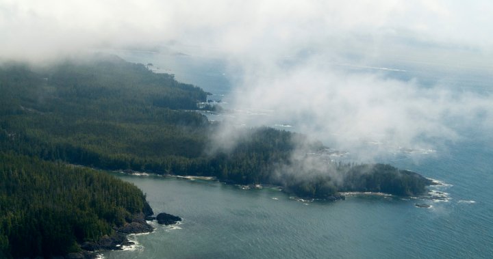 B.C. government announces $3.8M in funding for coastline cleanups