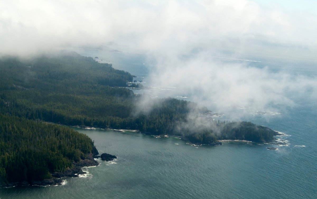An aerial view of the Muchalat Inlet and the coast of Vancouver Island, BC, Canada.