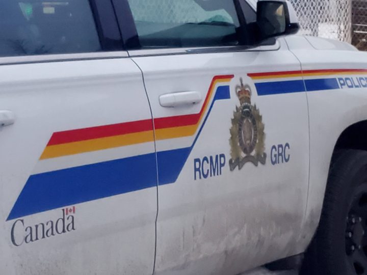 Saskatchewan RCMP said the woman was found Monday morning on Highway 102, roughly eight kilometres north of La Ronge, police said.