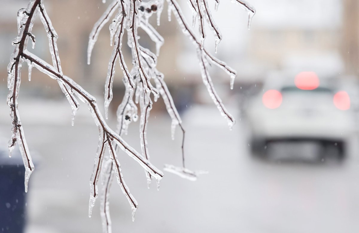 A file photo showing frozen branches on a street in Laval, Que.