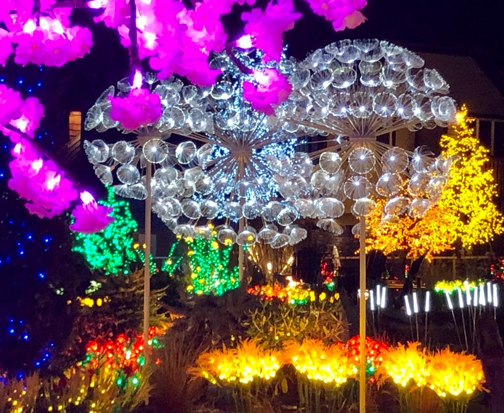 Winter Serenity Gardens at The Kingfisher Spa Resort - image