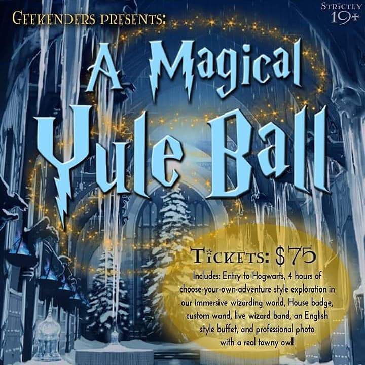 A Magical Yule Ball - image