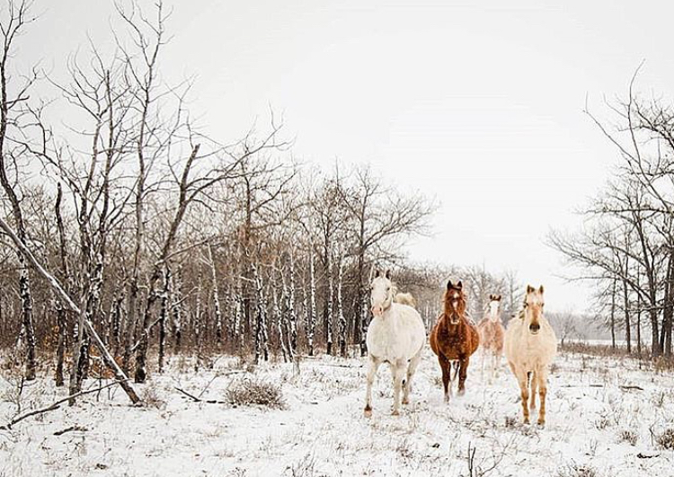 Warren, Manitoba.