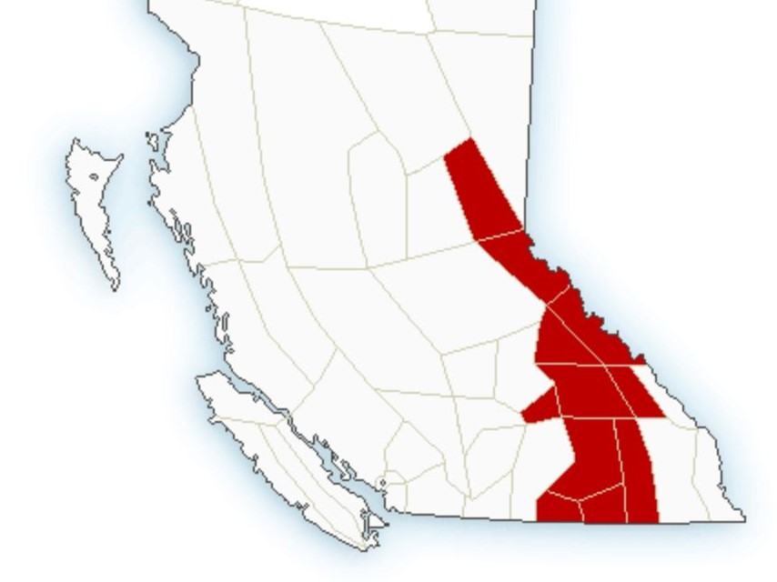 Environment Canada says significant amounts of snow are forecast for the Shuswap, Arrow Lakes, West and East Columbia regions.