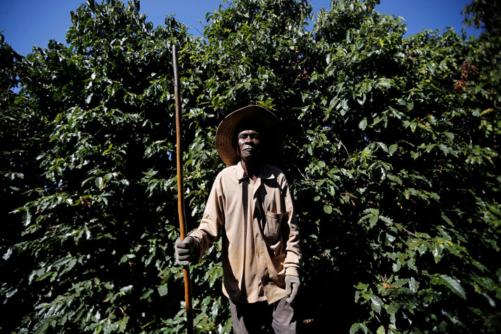 A worker is seen in a coffee farm during a labor ministry operation to identify workers in conditions analogous to slavery, in Campos Altos, Minas Gerais, Brazil August 12, 2019.