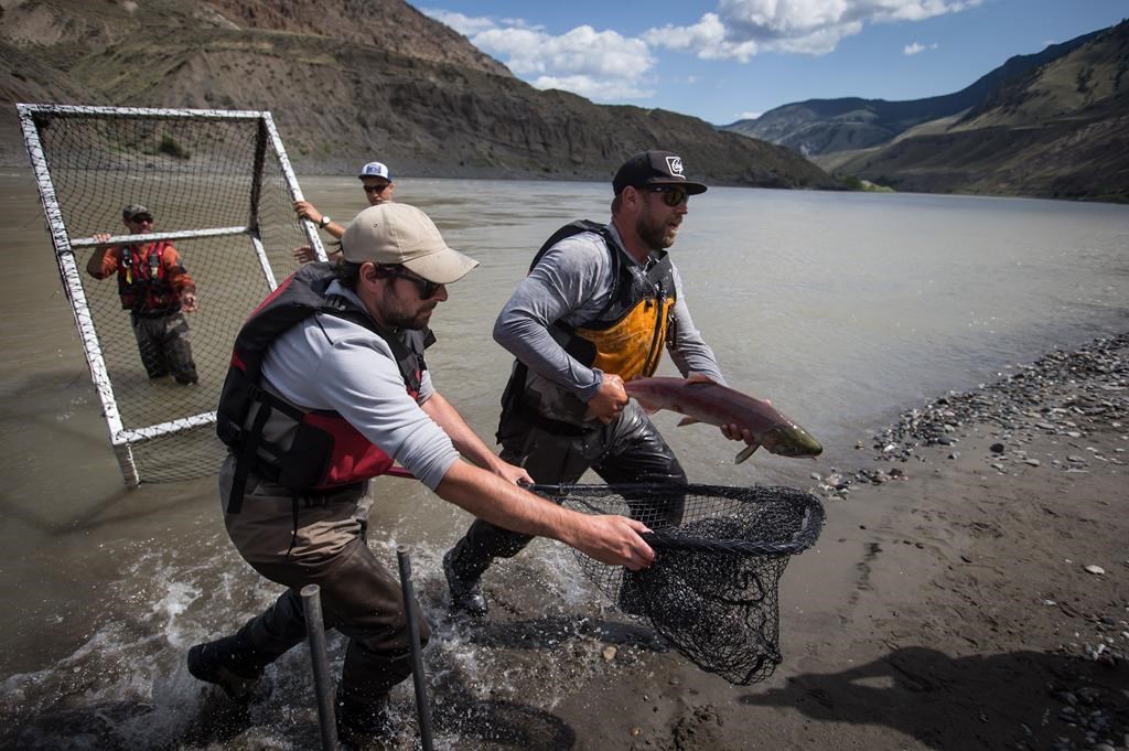 Southern Alberta fishing enthusiasts showed up in numbers to have their say at an open house in January, held by the provincial government.