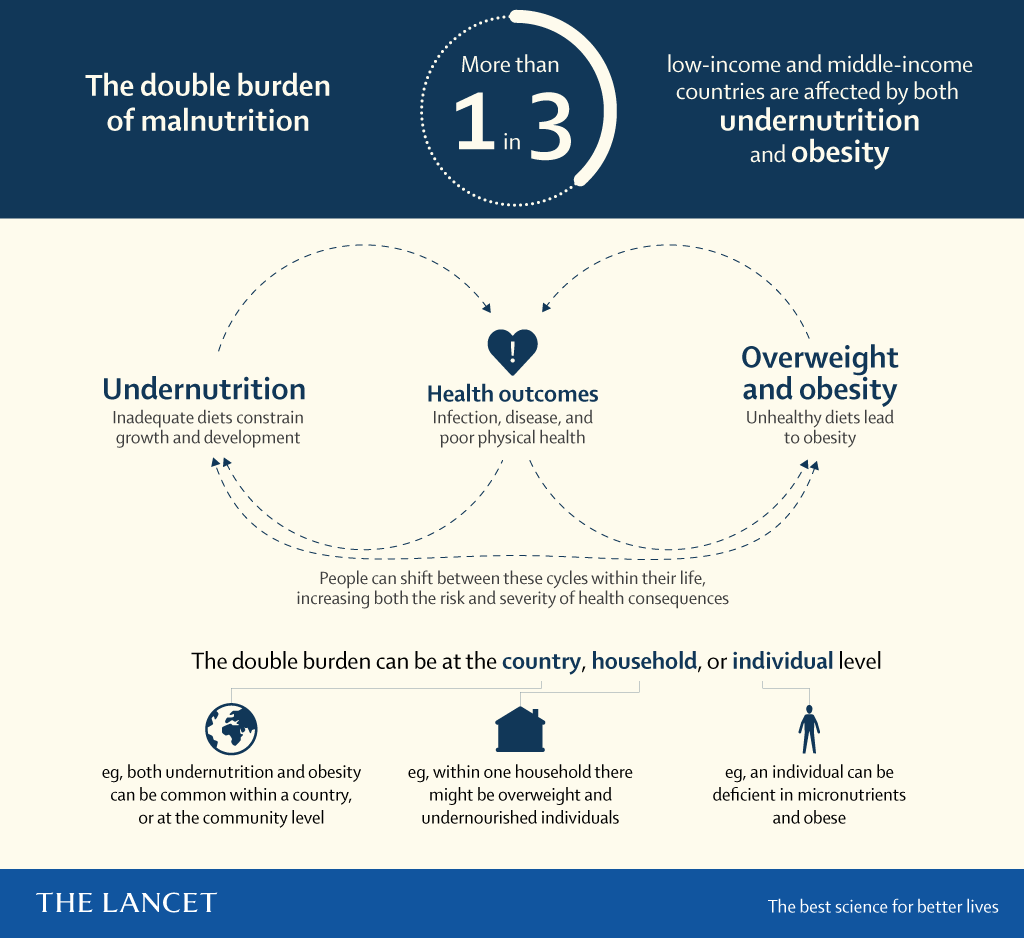 More than a third of world's poorest countries face undernutrition, obesity:  report - National