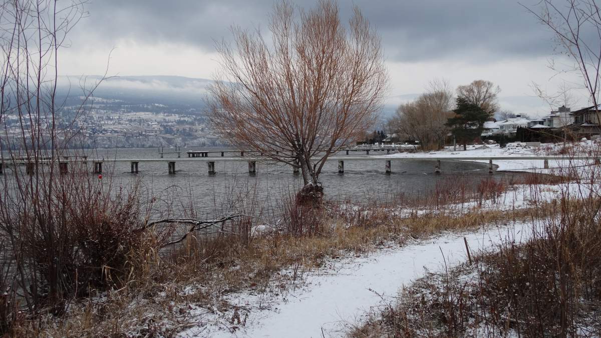 Let it snow! December 1 brings first snowfall of the season to the south Okanagan - image