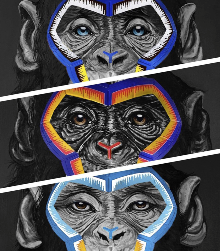 Simone Fugazzottos monkey paintings are shown in this image from the Serie A website.