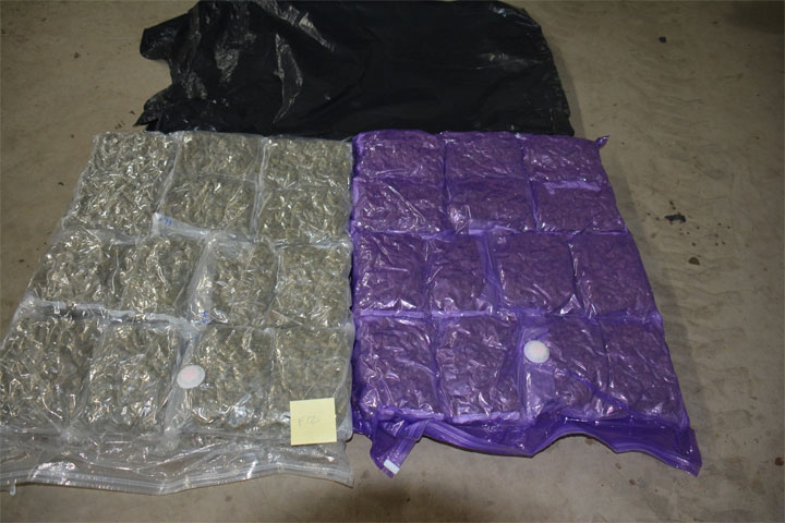 510 pounds of cannabis seized in Saskatoon drug trafficking bust